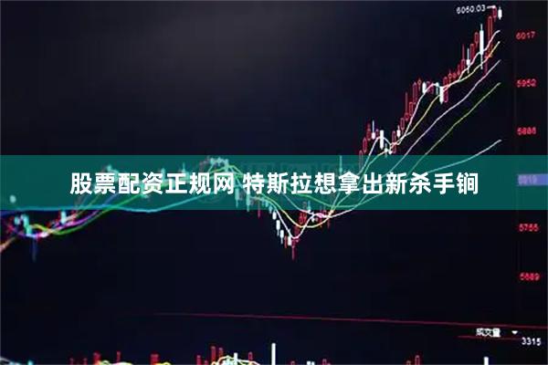 股票配资正规网 特斯拉想拿出新杀手锏